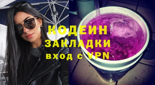 индика Дмитровск