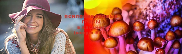 стафф Вязьма