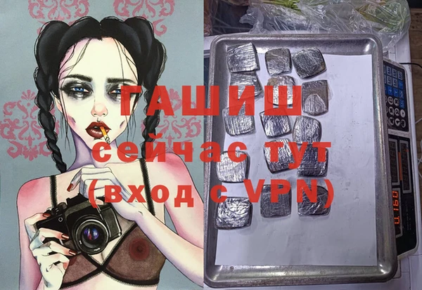 дмт Дмитров