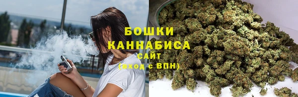 мдпв Дмитриев