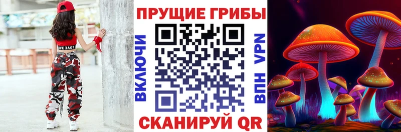 Галлюциногенные грибы MAGIC MUSHROOMS Купить где Вольск