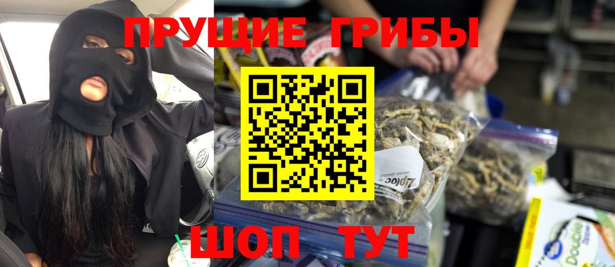 Вольск  Галлюциногенные грибы Psilocybine cubensis  Вход с VPN 