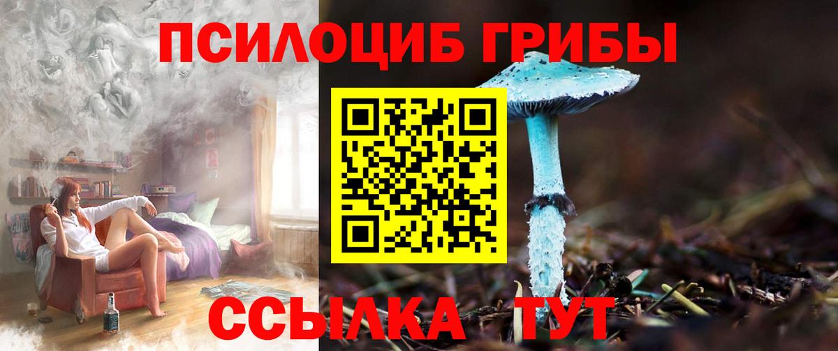 Псилоцибиновые грибы GOLDEN TEACHER Вольск